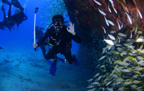 Diving Experience - Full day - Half day tours
