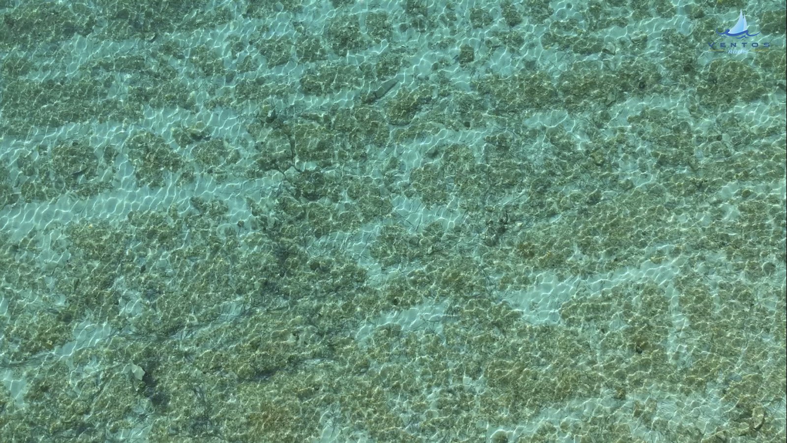 blue cave vis hvar tour hop on boat and let us show you the best green cave