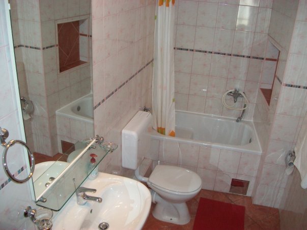Apartman Ivica A1