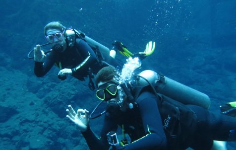 Diving Experience - Full day - Half day tours