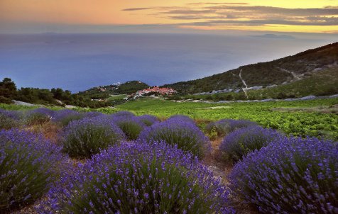 Island Hvar & wine tasting - Exclusive private speedboat tour